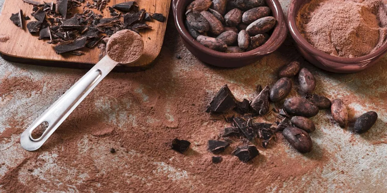 El cacao enfrenta su peor crisis en 50 años a causa del cambio climático