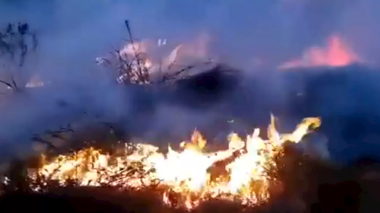 Videos: voraz incendio afecta el Parque Nacional Natural Chingaza