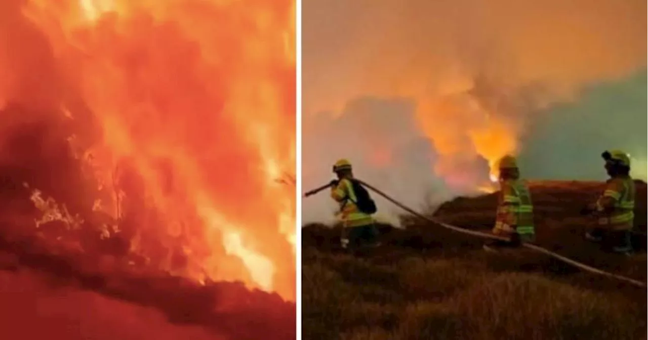 Incendio forestal en el Parque Nacional Natural Chingaza