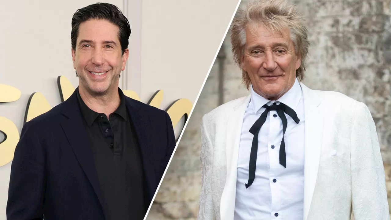 David Schwimmer Once Served Rod Stewart Divorce Papers