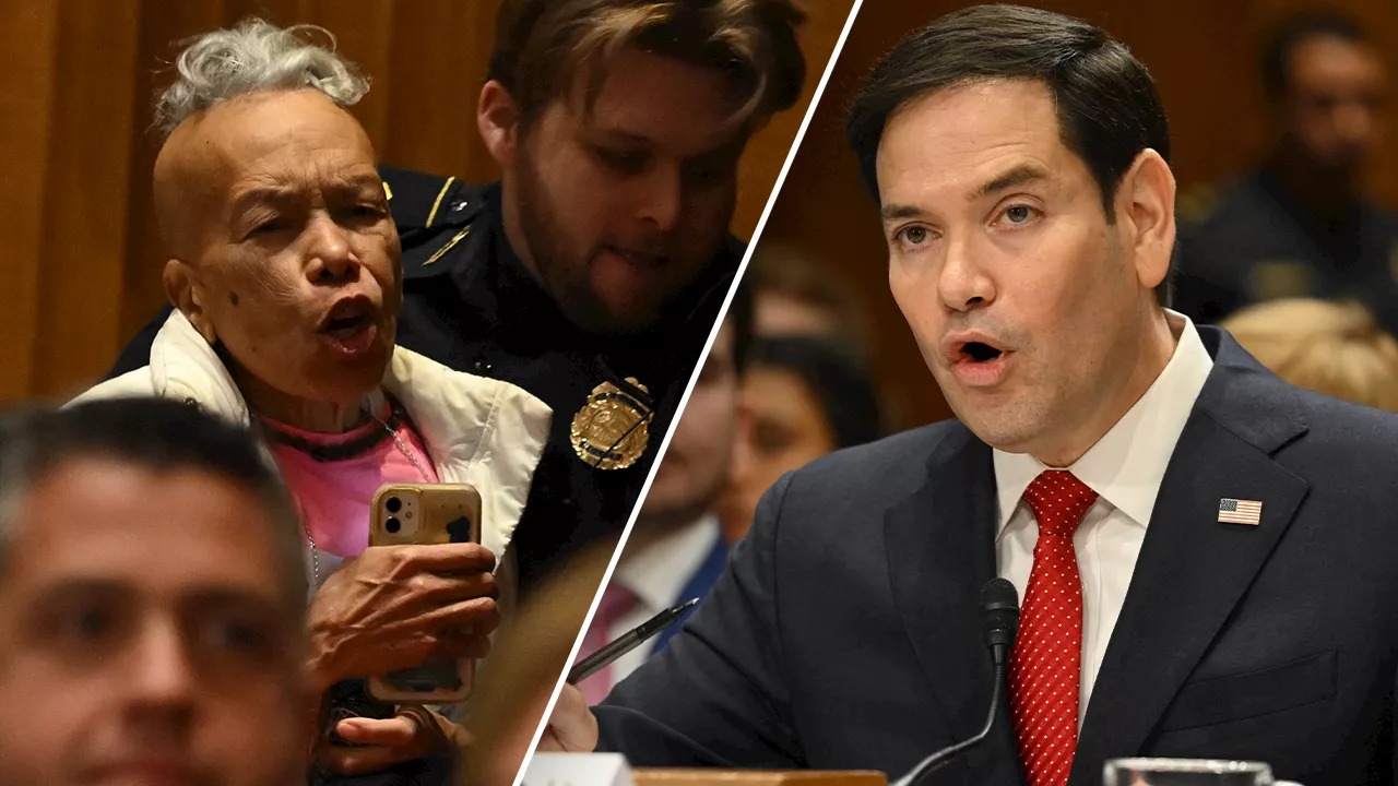 Rubio Hearing Disrupted by Protesters