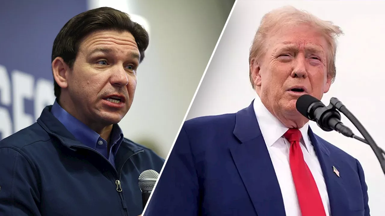 Trump Praises DeSantis' Immigration Plan, Urges Other Governors to Follow Suit