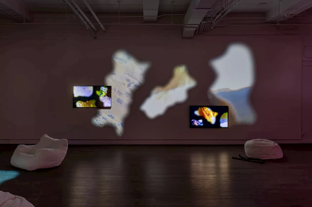 Autistic Artist Adam Wolfond's Installation 'What if My Body is a Beacon for the World?'