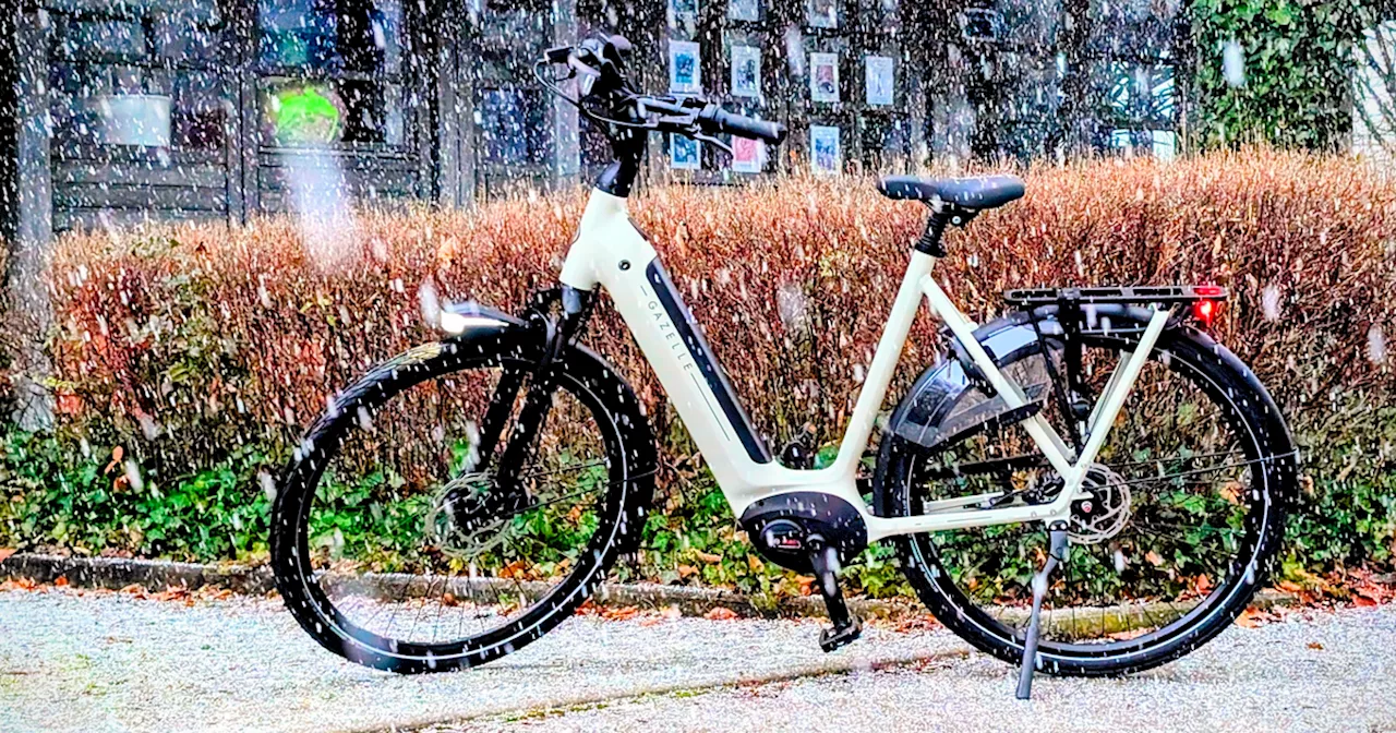 Top 10: Das beste E-Bike für Damen & Herren