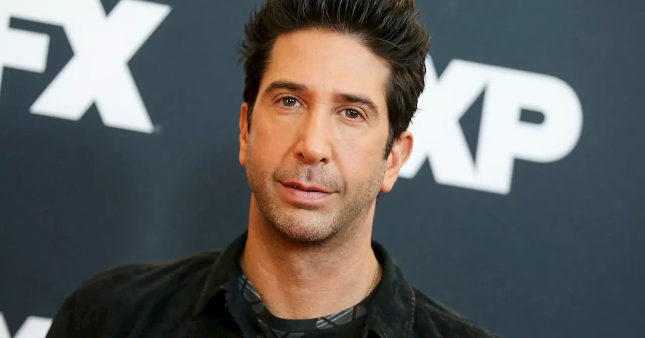 David Schwimmer Reveals How He Inadvertently Served This Music Icon His Divorce Papers