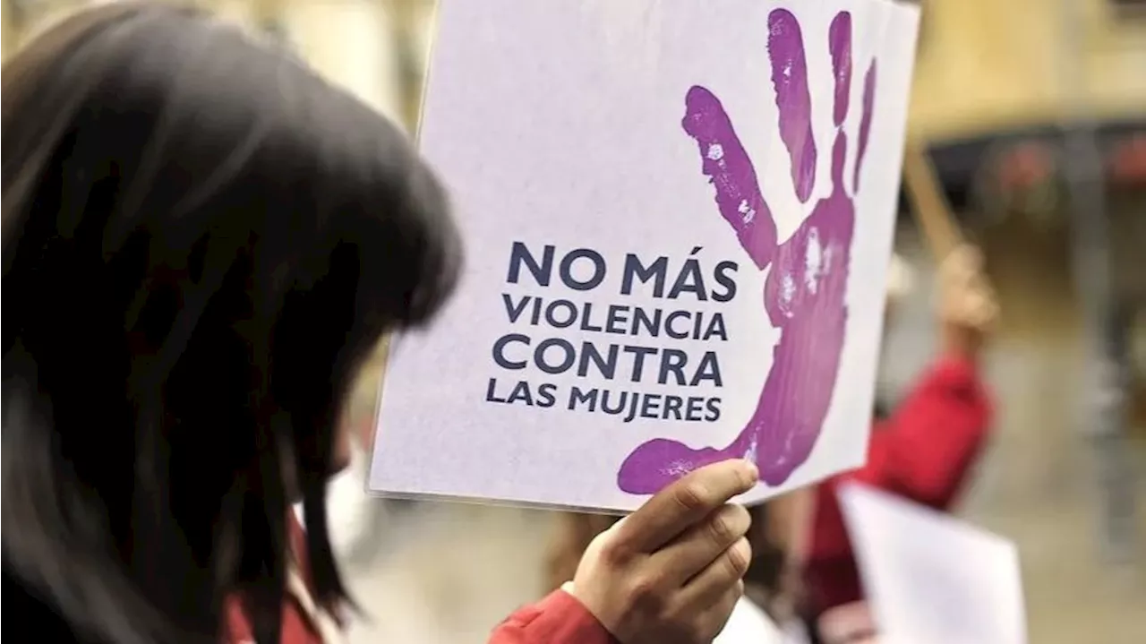 Aumentan a casi 11.000 madres con protección policial por violencia machista