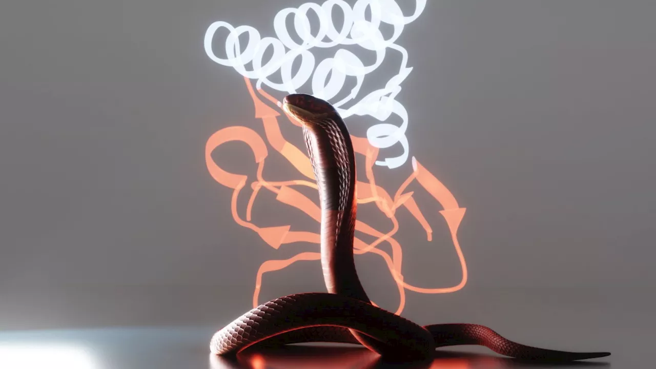 AI-Designed Proteins Offer Hope for More Affordable and Effective Snakebite Treatment