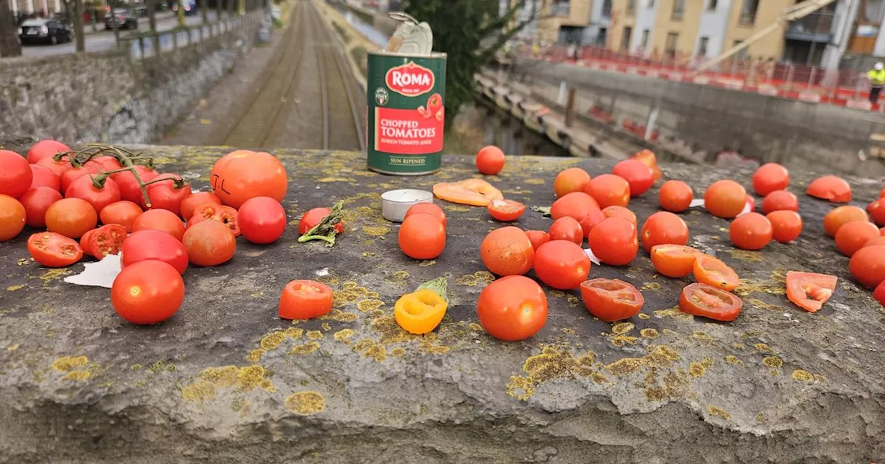 Cherry Tomato Bridge Loses Its Appeal After Frozen Fruit Melts Away