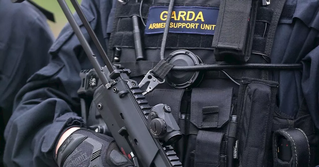 Irish Police To Spend €4 Million On Ammunition