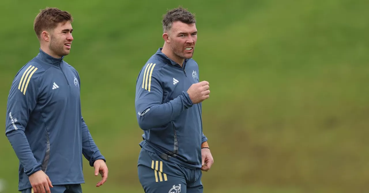 Peter O'Mahony Set for Champions Cup Comeback