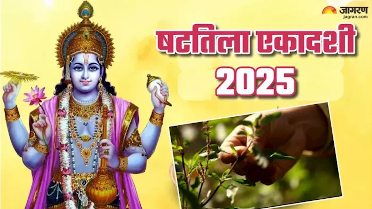 षटतिला एकादशी 2025: तुलसी पूजन से जुड़े उपाय और मंत्र