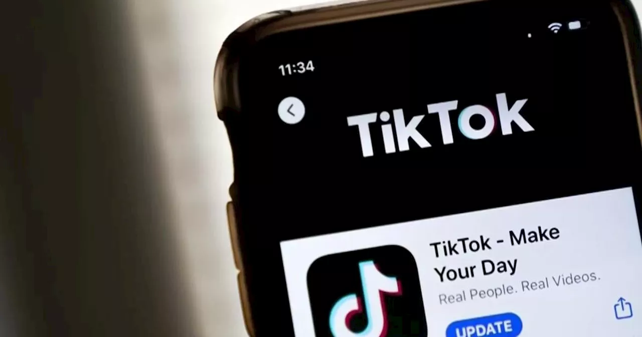 Bay Area Content Creators Brace for Potential TikTok Ban