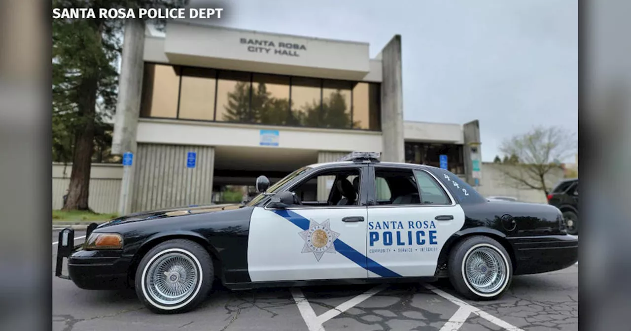 Santa Rosa Police Arrest Two Teens in Gang-Related Shooting