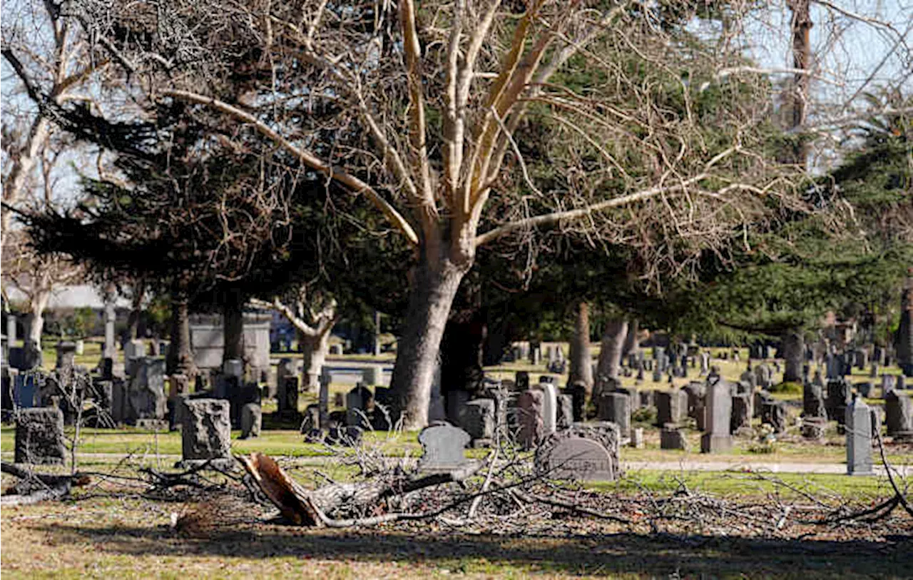 Octavia Butler's Grave Survives Altadena Cemetery Fire