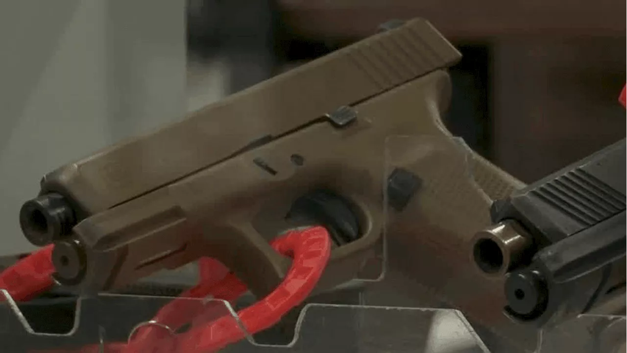 Utah Lawmakers Debate Gun Safety in Schools