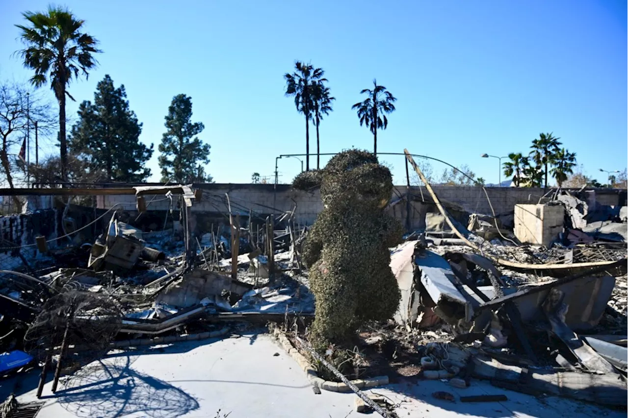 Fans rally in support as Bunny Museum co-founders plan to rebuild on Altadena site