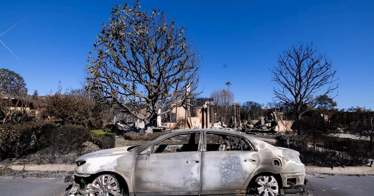 Strong Winds Return to Southern California, Increasing Wildfire Risk