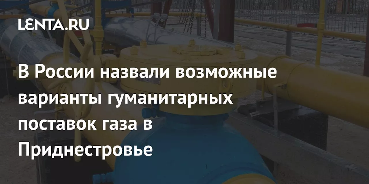 В России назвали возможные варианты гуманитарных поставок газа в Приднестровье