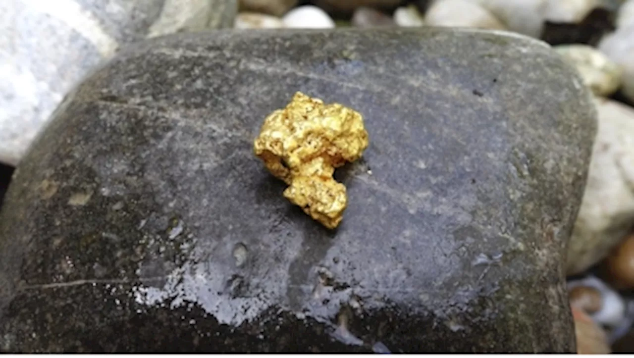 Negeri Sembilan to Investigate Gold Discovery Claims in Lenggeng