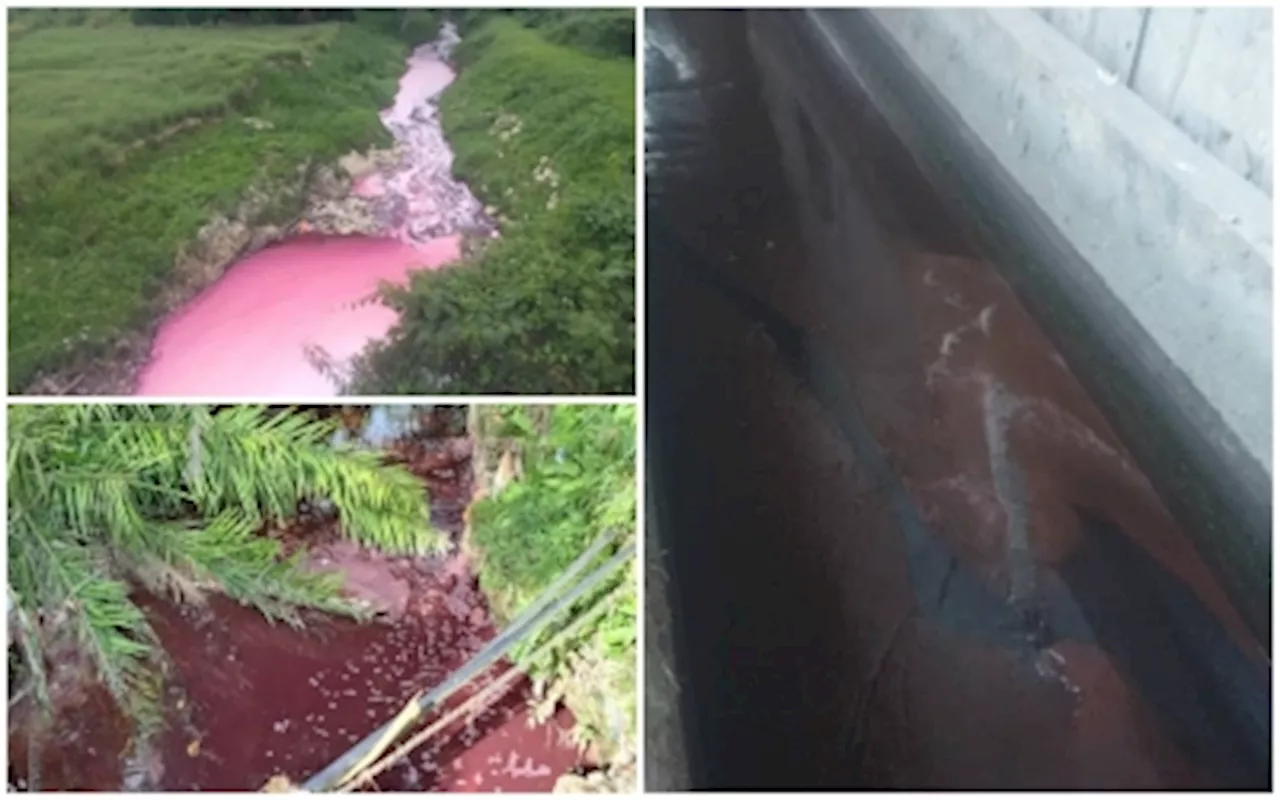 Selangor Water Authority Issues Yellow Alert After Sungai Kabul Turns Pink