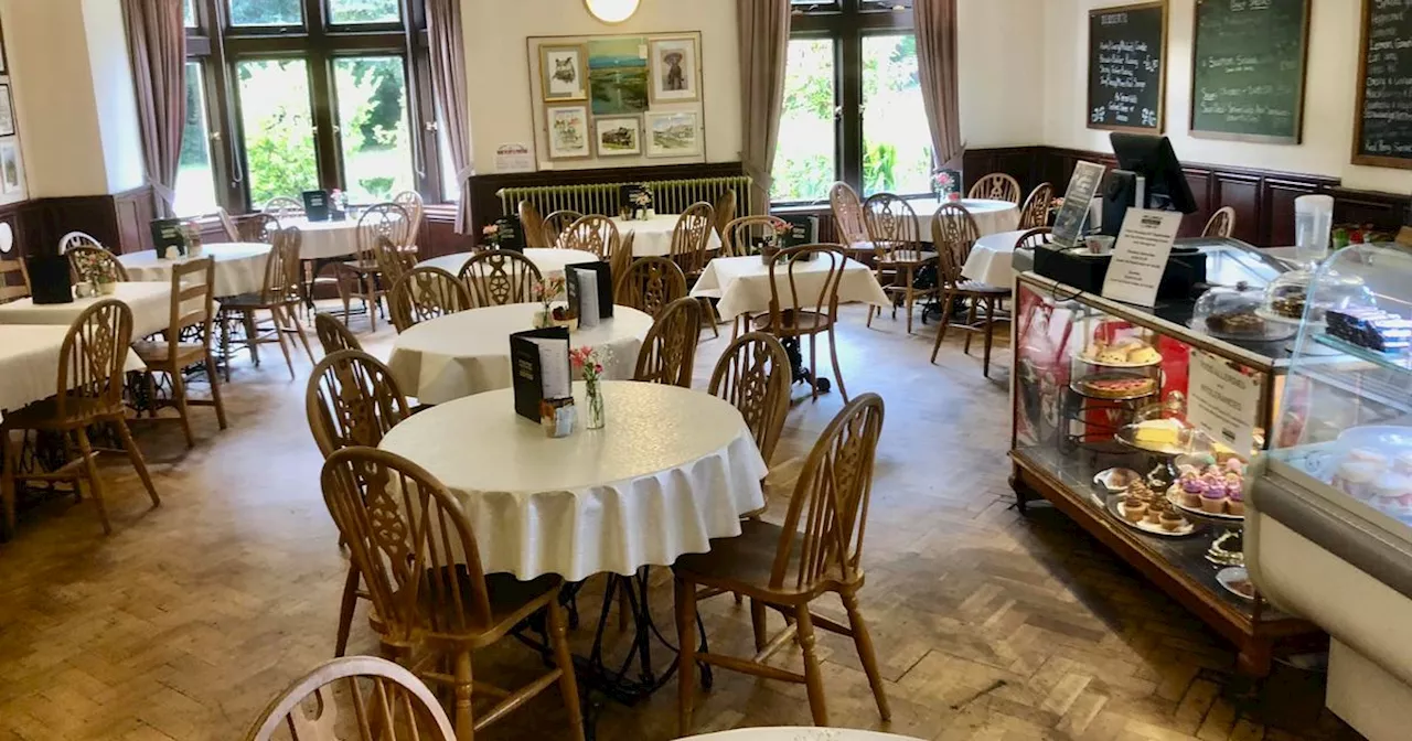 Beloved Vintage Tea Room Faces Closure Amidst Mounting Losses