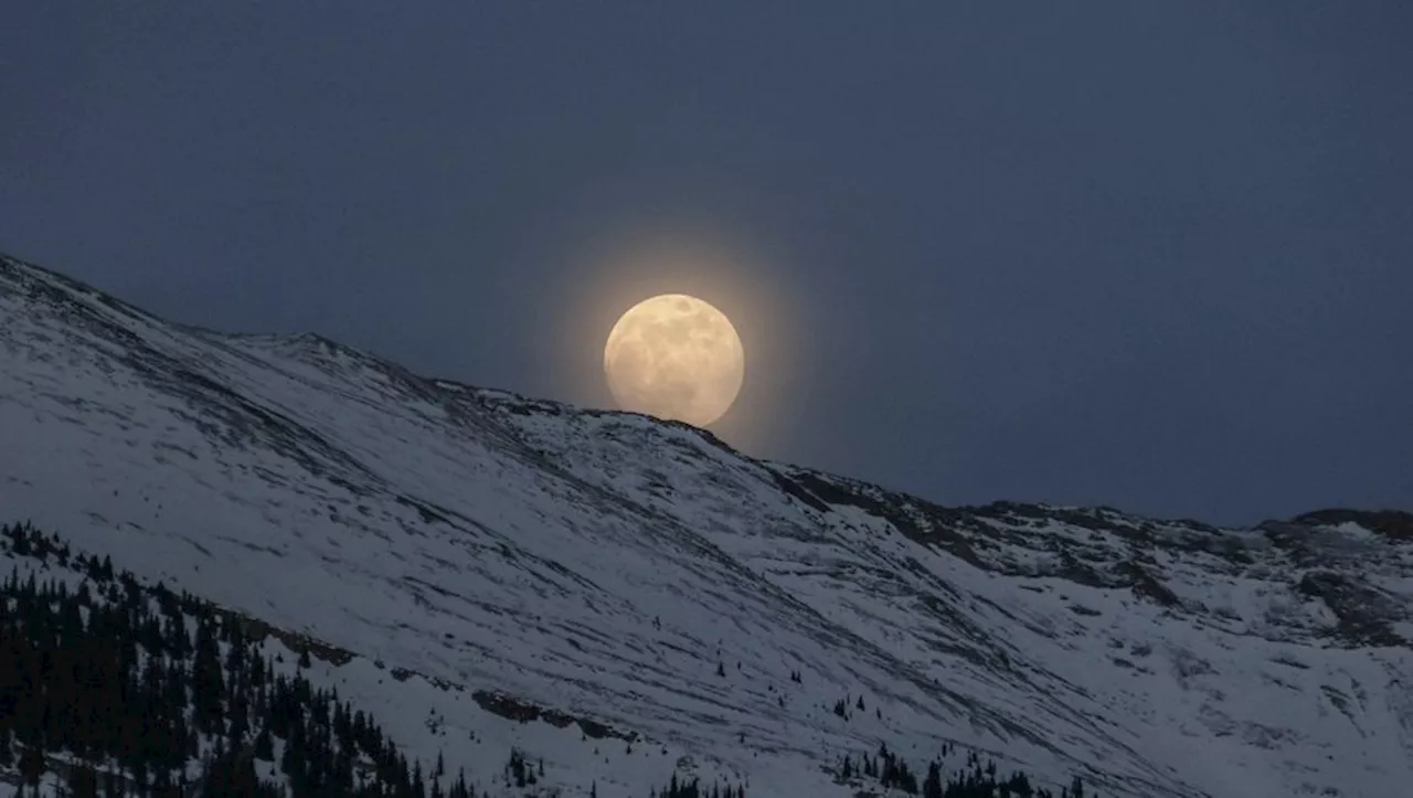 Deux Skieurs Néerlandais Rescapés Après Six Heures d'Embûche en Montagne