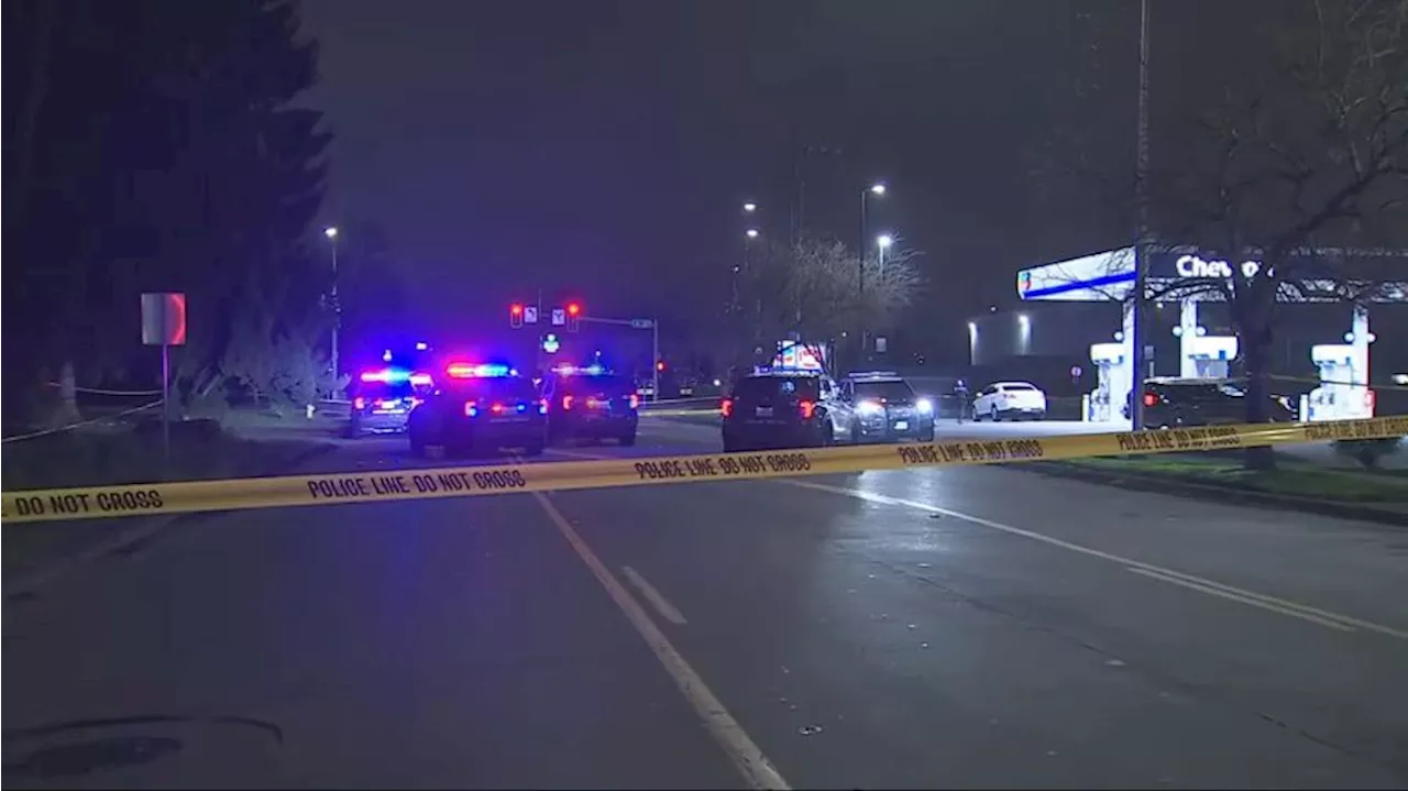 Police Officer Fatally Shoots Driver During Traffic Stop in Auburn