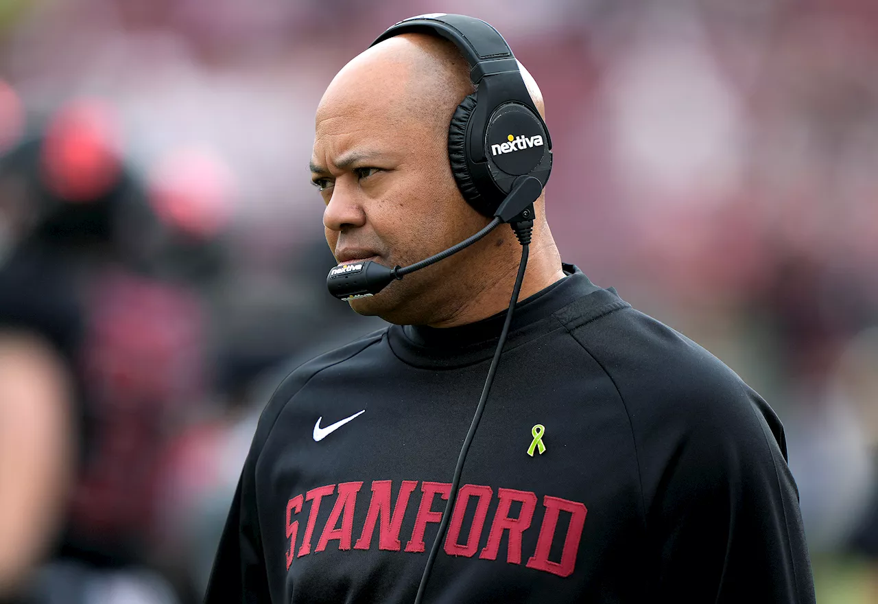 Chicago Bears Continue Head Coaching Search with Interviews with David Shaw and Mike McCarthy