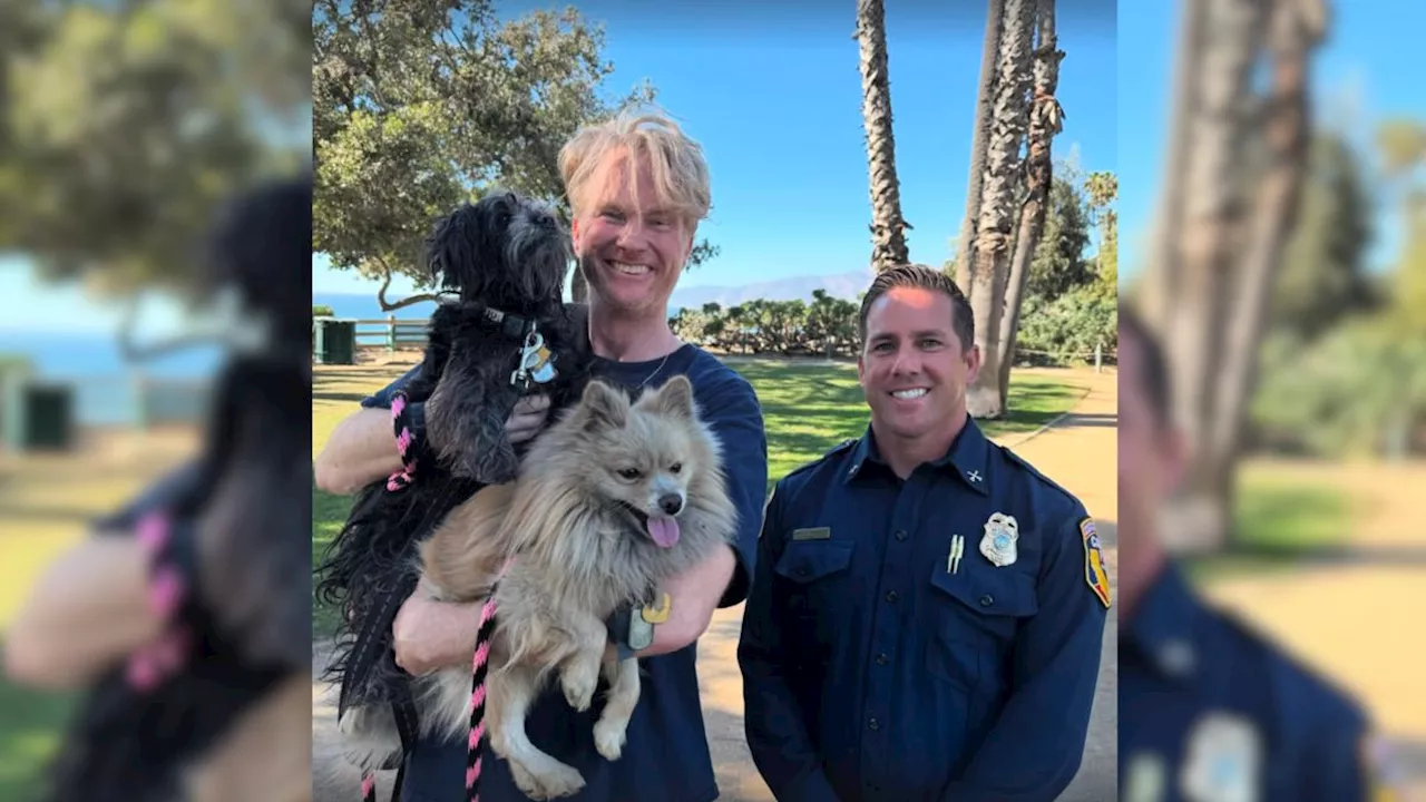 Firefighter Rescues Dog, Reunites Owner with Beloved Pet After Wildfire