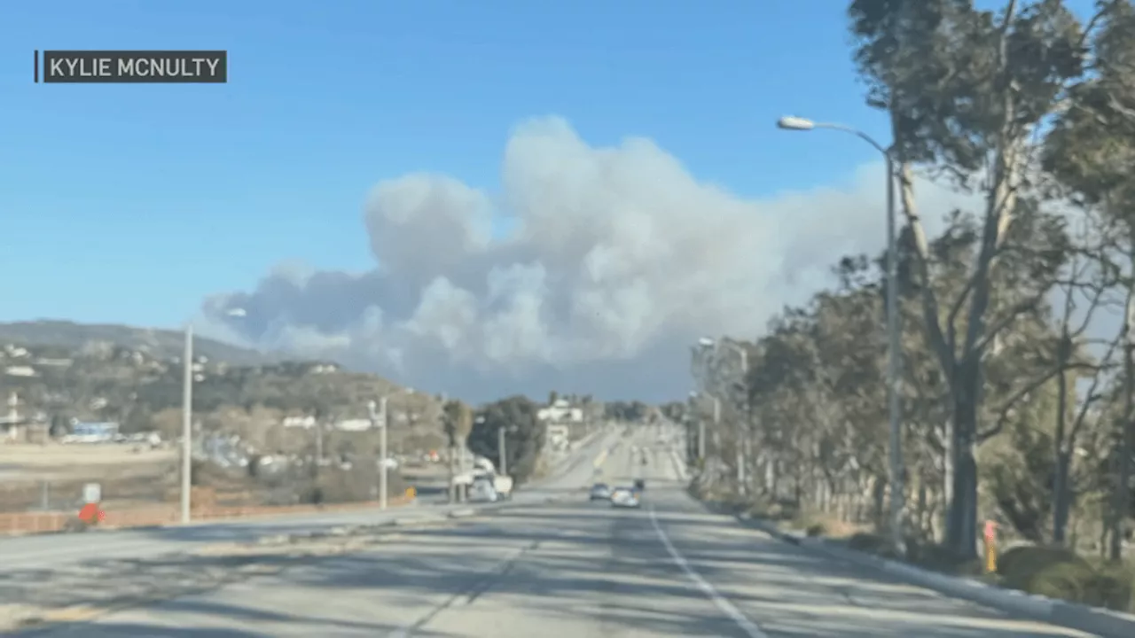 Tufts Student Survives Devastating Malibu Wildfires