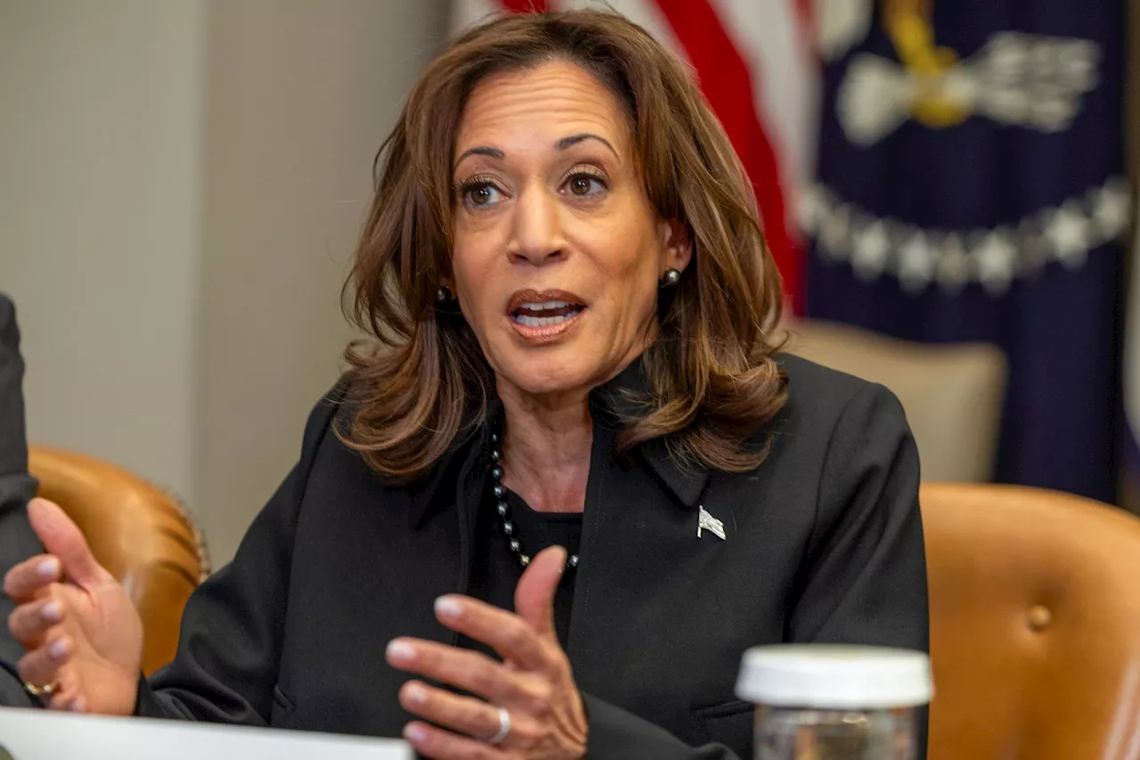 With snub of JD Vance's family, Kamala Harris reveals her callous soul