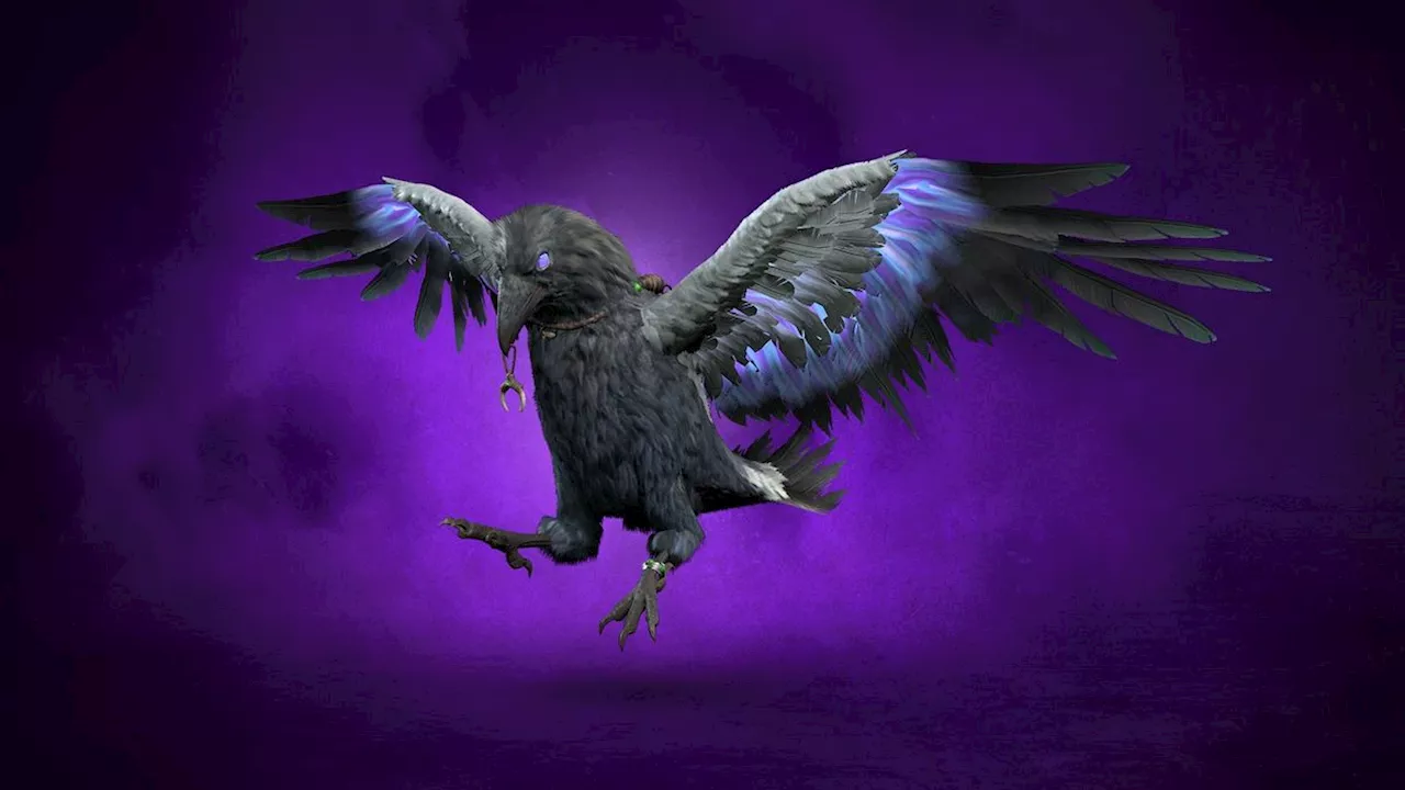 Diablo 4 Season 7: Embrace the Witchcraft with New Raven Pet and Powerful Magic