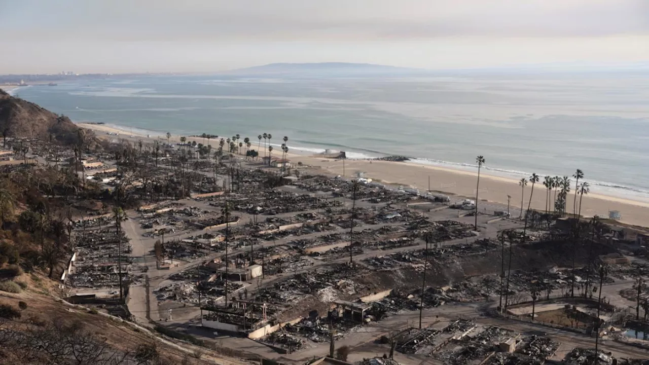 Tragedia en Los Ángeles: Incendios forestales dejan 25 muertos y miles desplazados