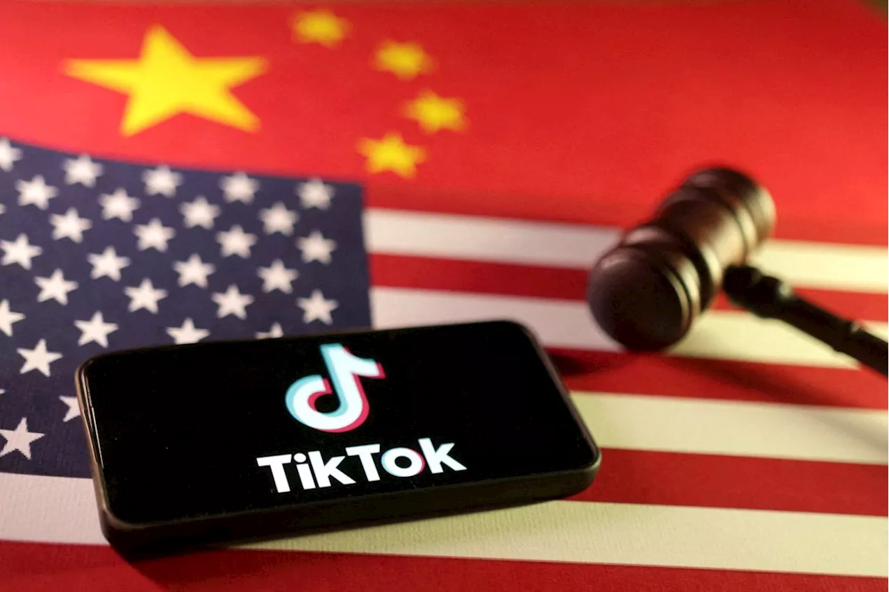 RedNote Soars as TikTok Alternative Amid US Ban Threat