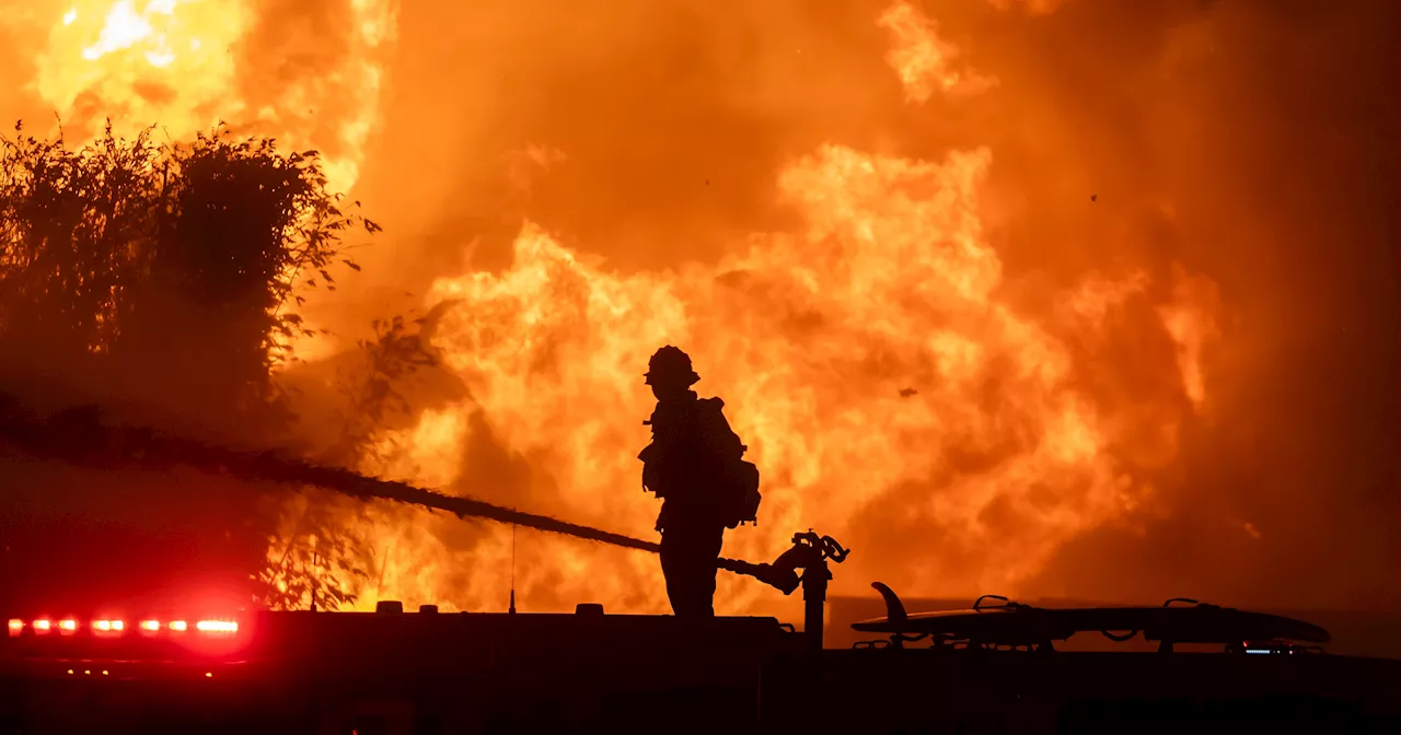 Mexican Firefighters Battle California Wildfires Amid Trump's Xenophobic Rhetoric