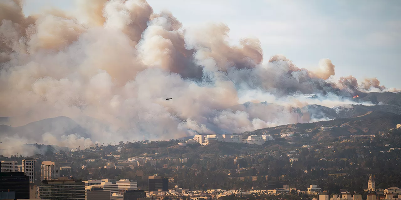 2025 Los Angeles Wildfires: Recovery Begins Amidst Devastation