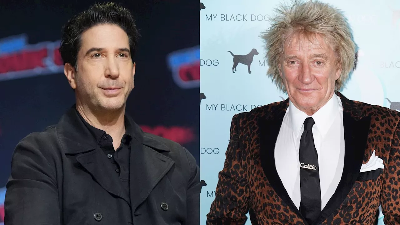 David Schwimmer Served Divorce Papers to Rod Stewart as a Teen