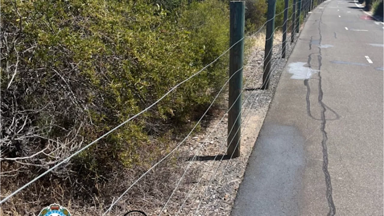 18-Year-Old Charged After Stringing Wire Across Bike Path in South Australia