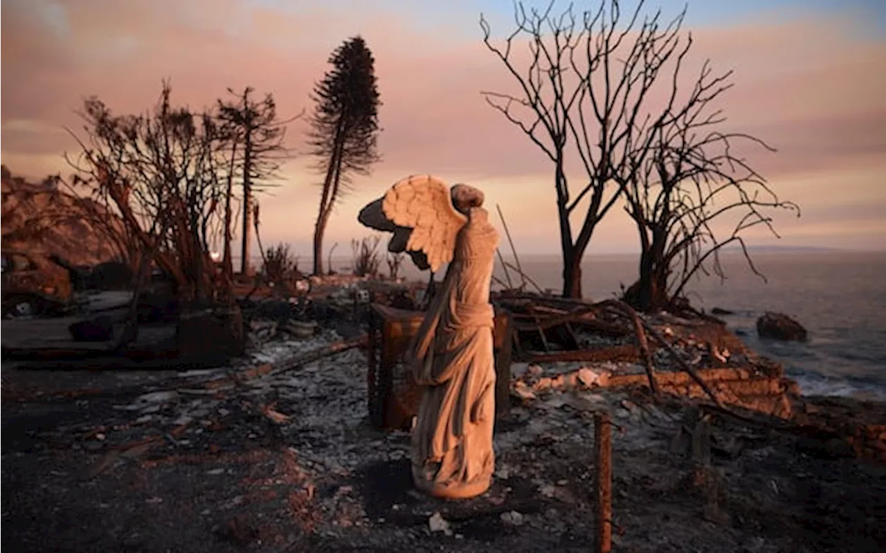 L.A. Perduta? La Città che brucia e le sue cicatrici ideali