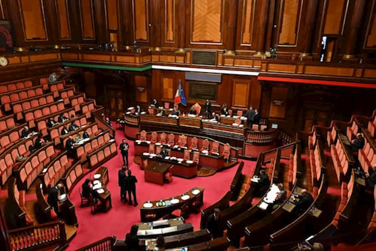 Senato approva legge contro la sottrazione di minori e incapaci all'estero