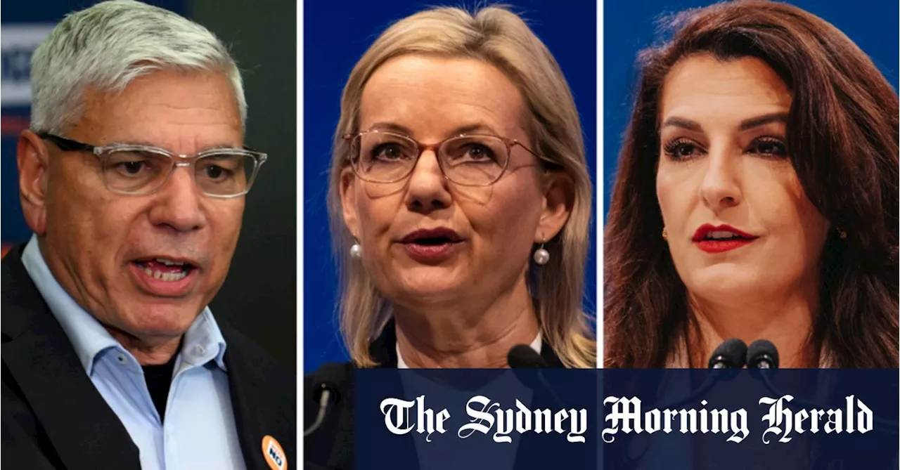 Deputy Liberal leader backs female tech exec over Mundine for blue ribbon seat