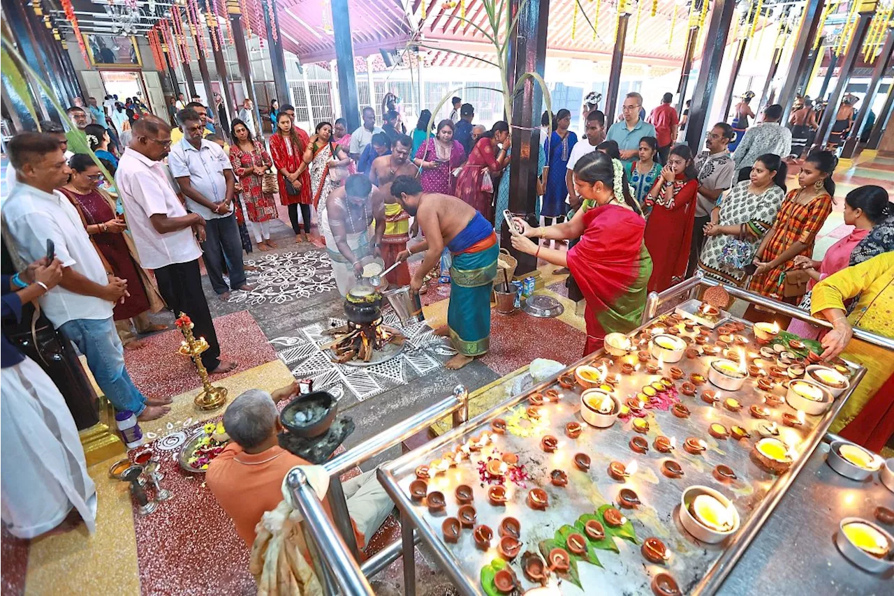 Ponggal Celebrations Mark a Time for Thanks and Fresh Starts