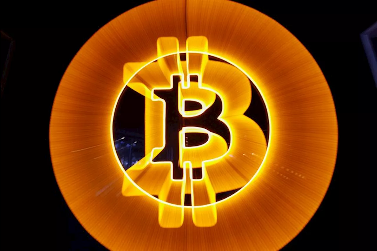 กระเป๋าเงิน Bitcoin พฤติกรรมสะสมในช่วงขาขึ้น