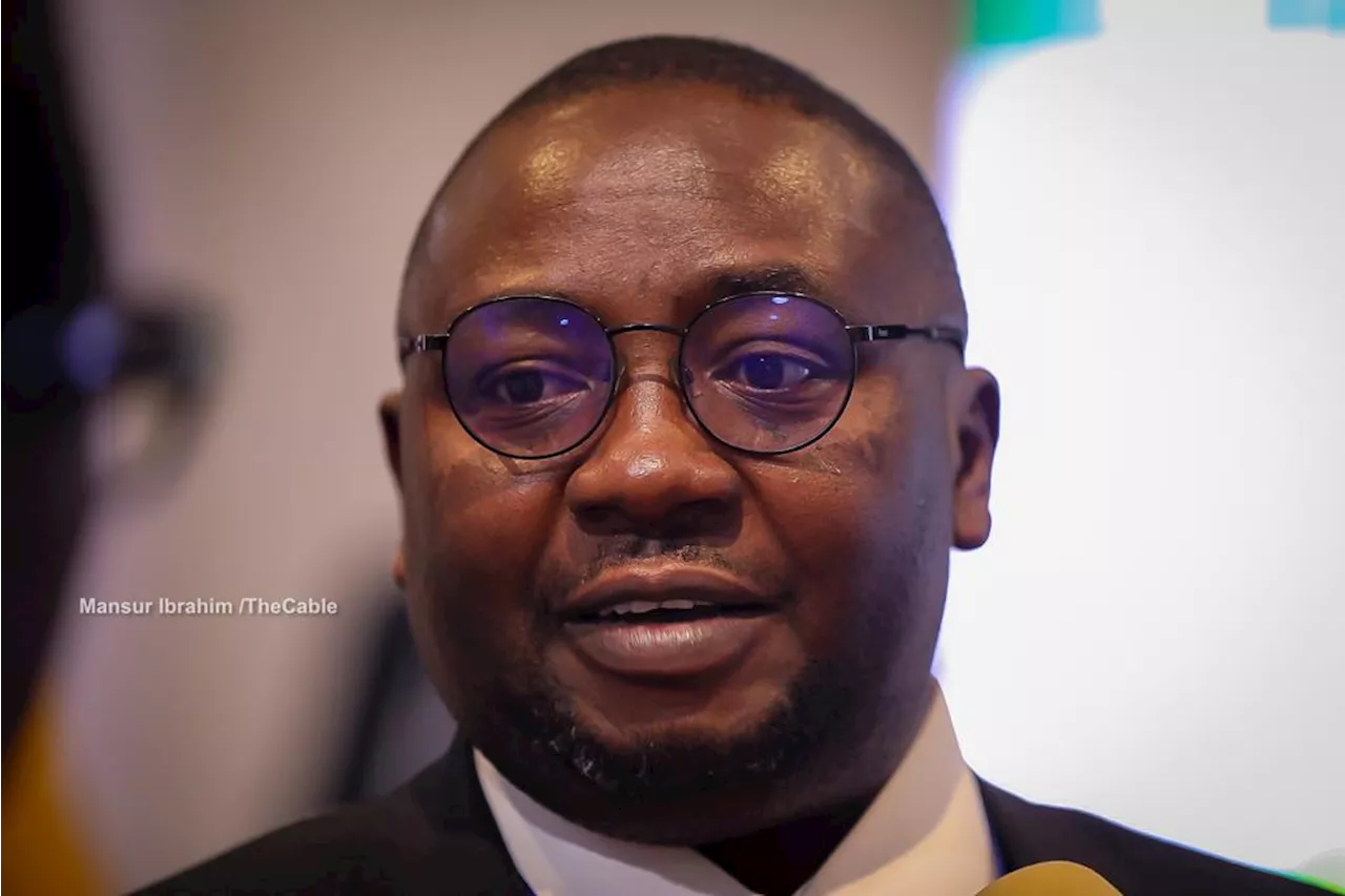 Nigeria's Power Sector Needs N2.7 Trillion to Complete 149 Projects, Minister Tells Assembly