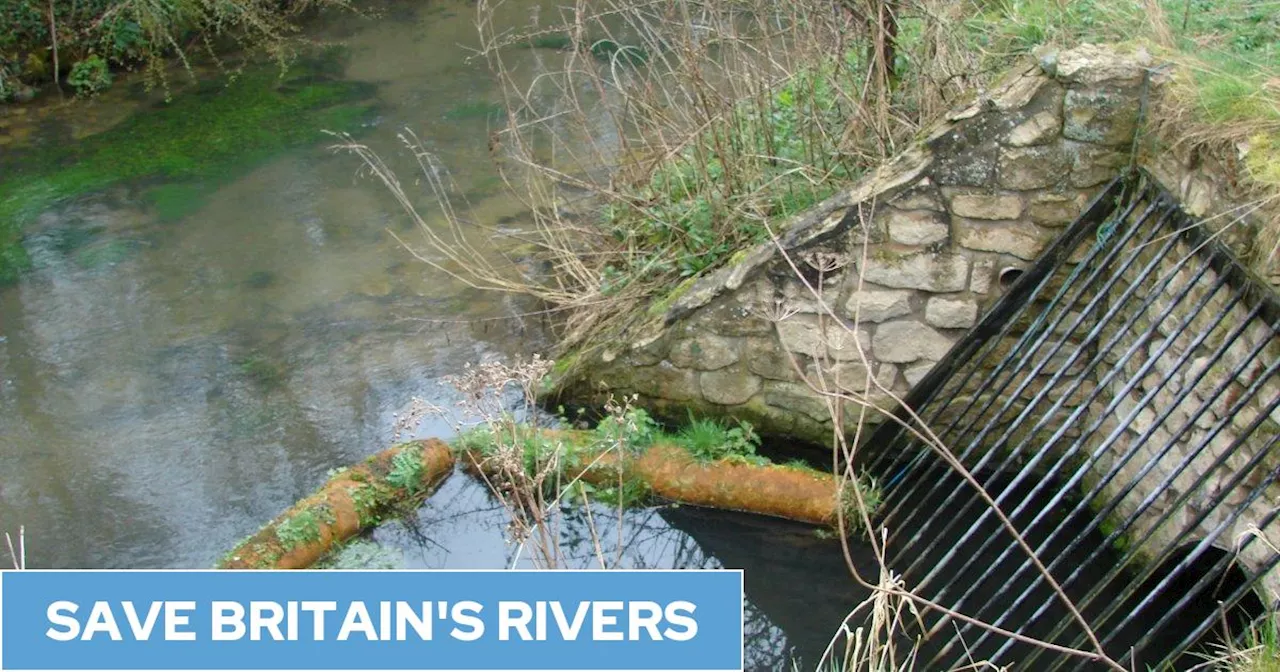 Cleaning England's Rivers Could Cost £51bn, Government Argues in Appeal