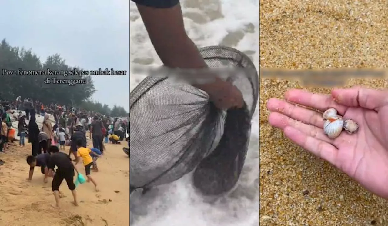 [Video] Pengunjung Pantai Sura Kutip Kerang Terdampar Dibawa Ombak Besar