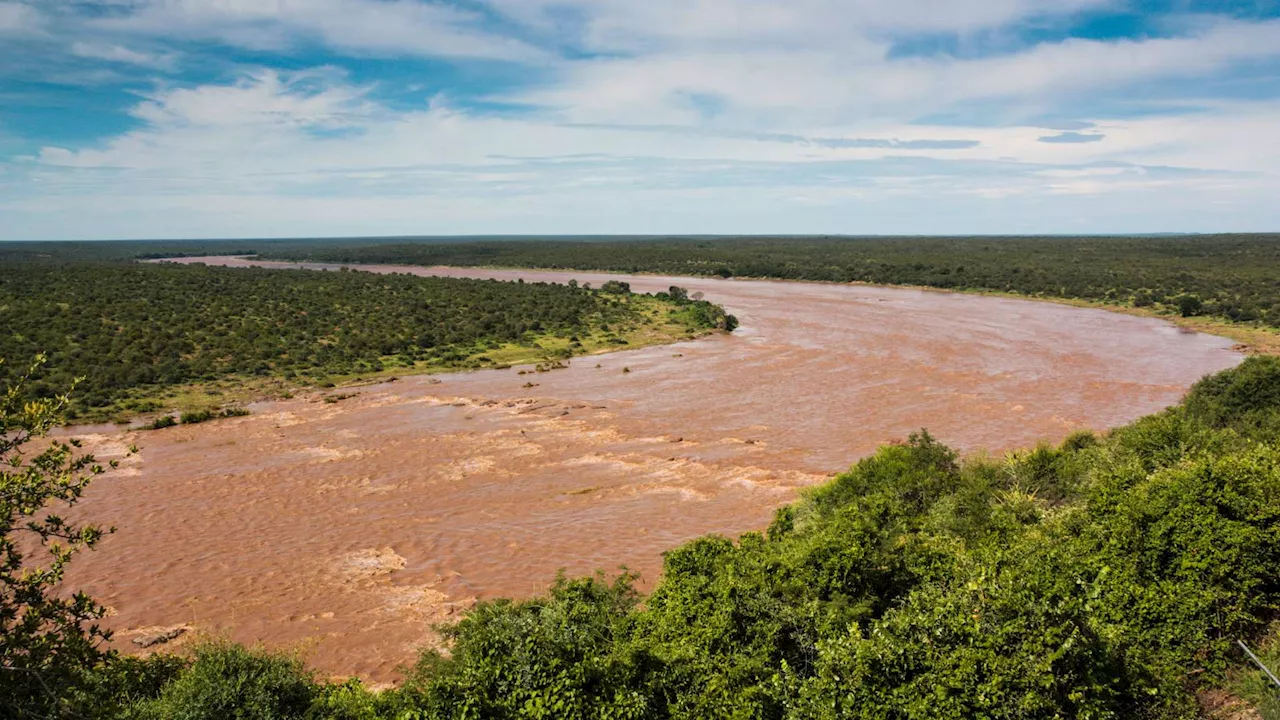 Heavy Rains Cause Damage in Kruger National Park