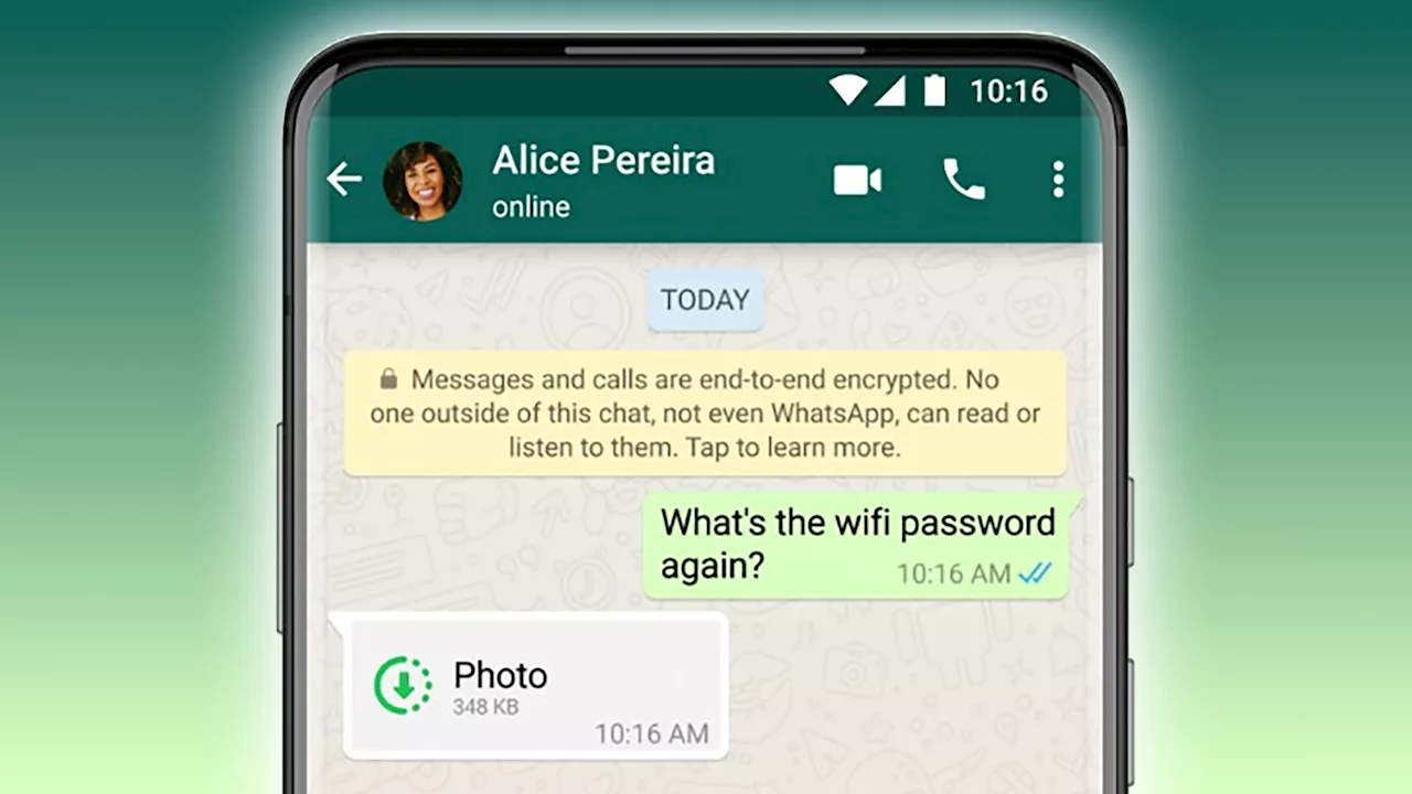 Unveiling WhatsApp's Secret Monthly Report: A Look at What the App Knows About You