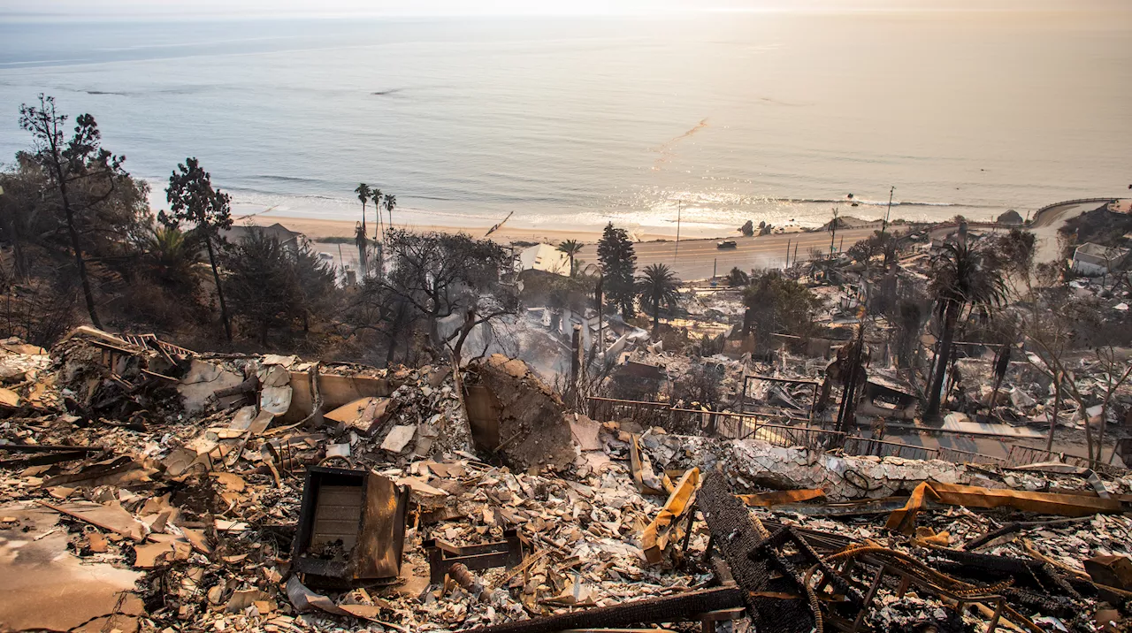 Producers Guild Responds to California Wildfires with Relief Fund