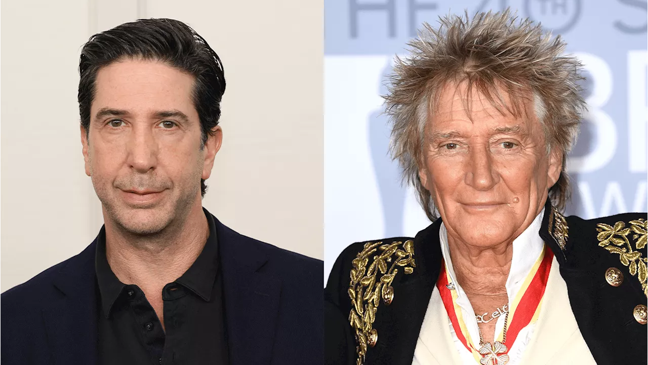 Schwimmer Once Served Rod Stewart Divorce Papers